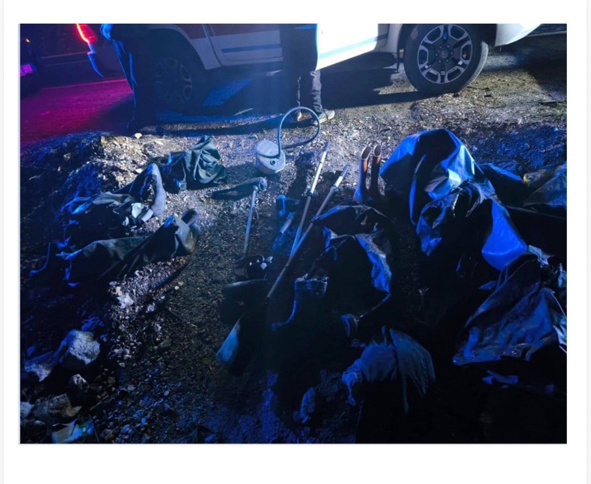 Bolu&rsquo;da 250 kilo ağırlığındaki 100 canlı sazan balığı kurtarıldı
