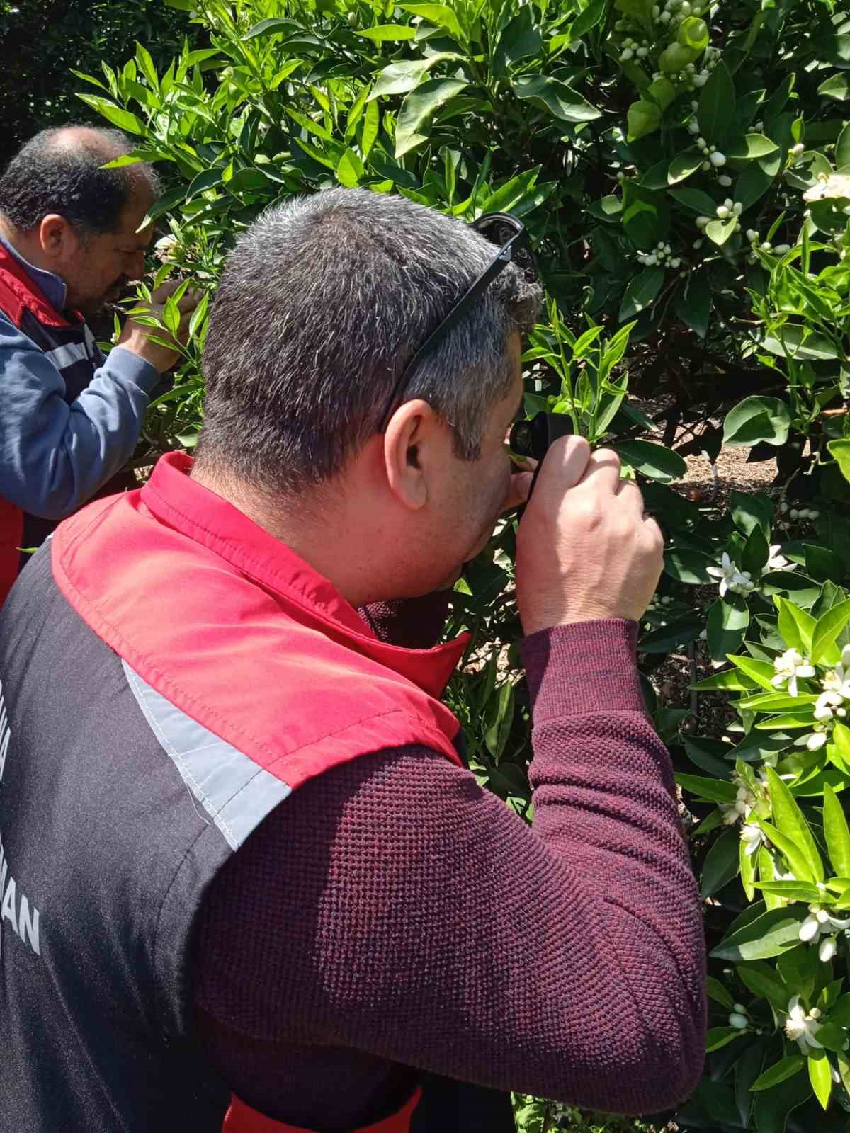 Tarımda biyolojik m&uuml;cadele seferberliği
