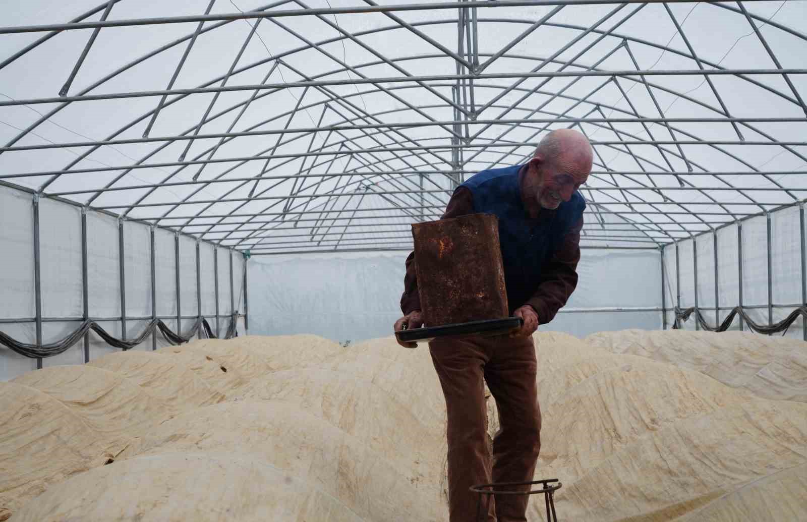 76 yaşındaki Bayburtlu üretici ata tohumları için zirai don nöbetinde