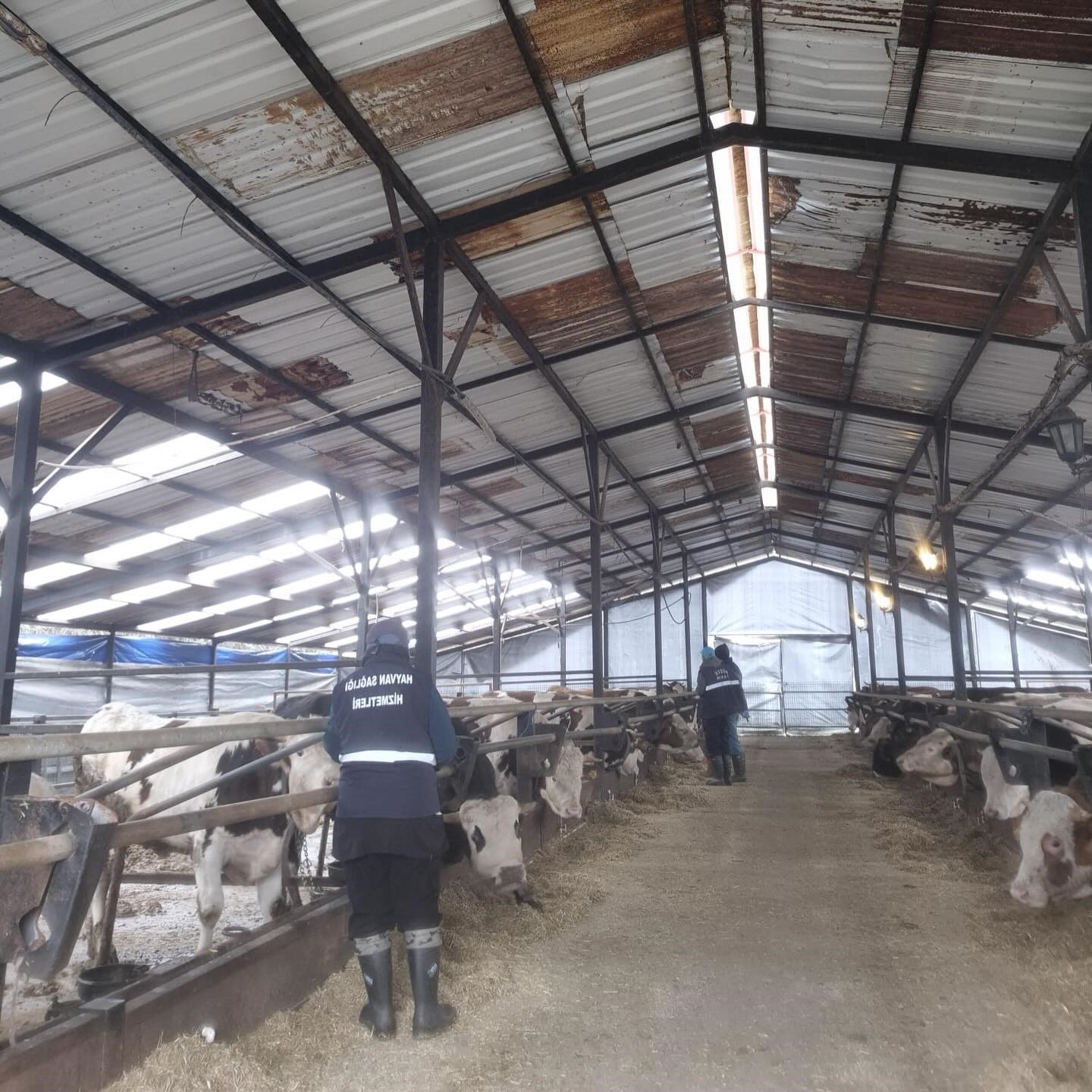 D&uuml;zce&rsquo;de ekipler hayvan sağlığı i&ccedil;in sahada
