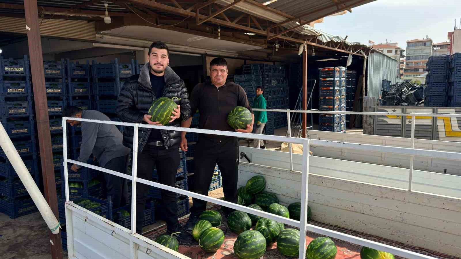 Antalya’da sezonun ilk karpuz hasadı yapıldı