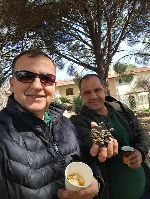 Türkiye çam balı üretiminde dünya birincisi