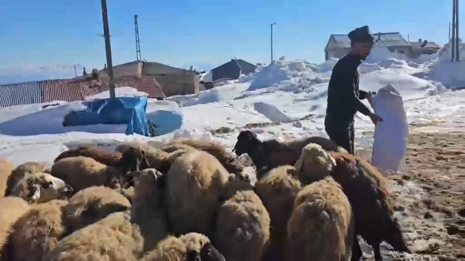 Nisanda kara g&ouml;m&uuml;len mahalle: Kışkılı&rsquo;ya bahar gelmedi
