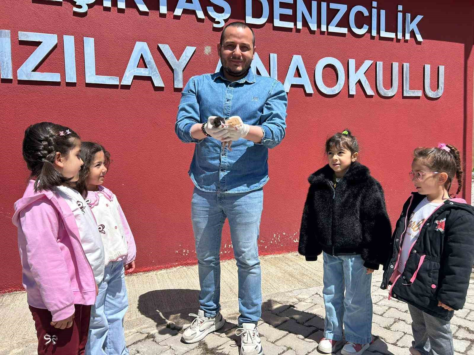 Anaokulunun misafiri ‘Fındık’ 6 yavru dünyaya getirdi
