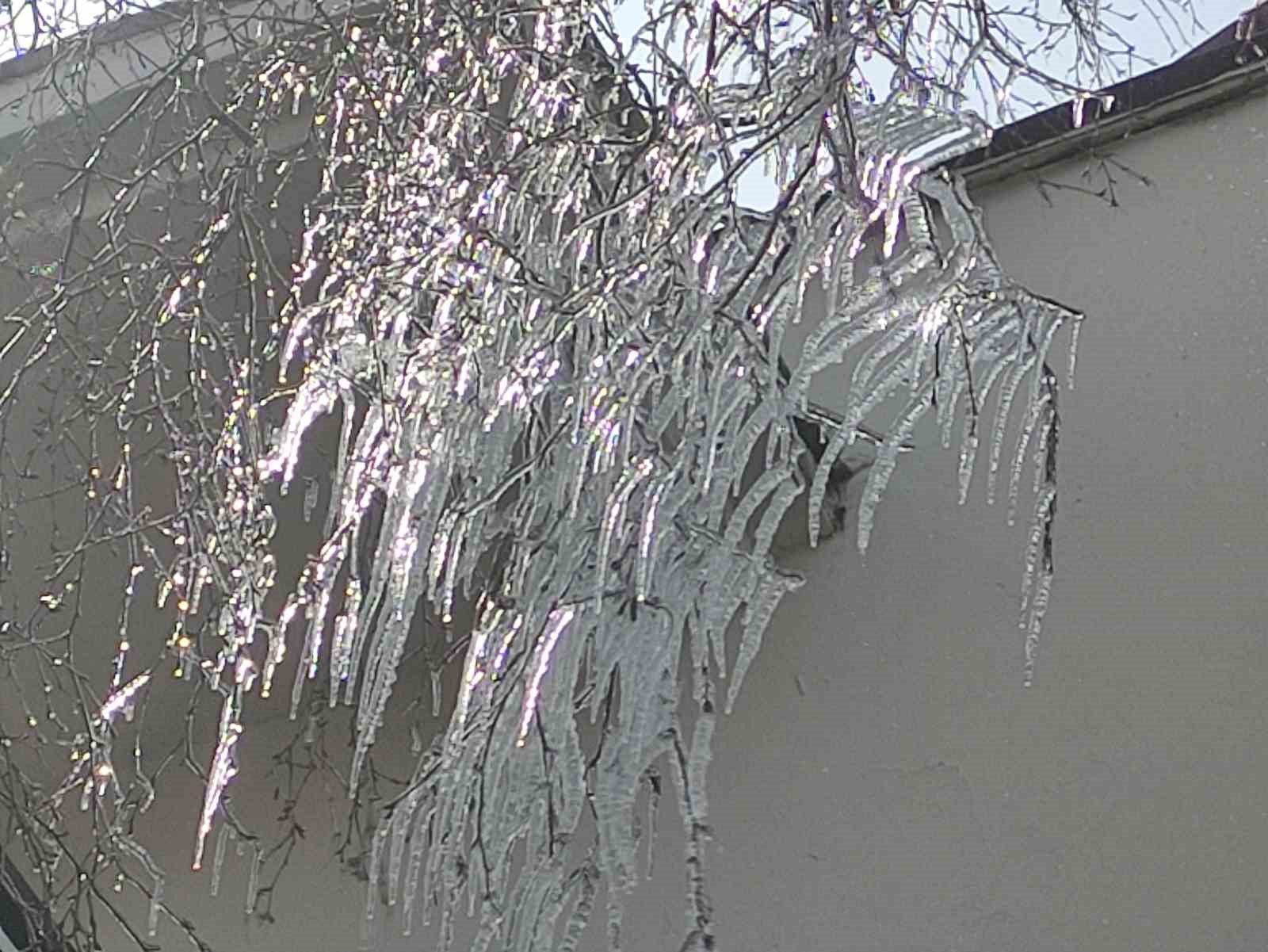 Hava sıcaklığı eksi 10&rsquo;a d&uuml;şt&uuml;, ağa&ccedil; dalları dondu
