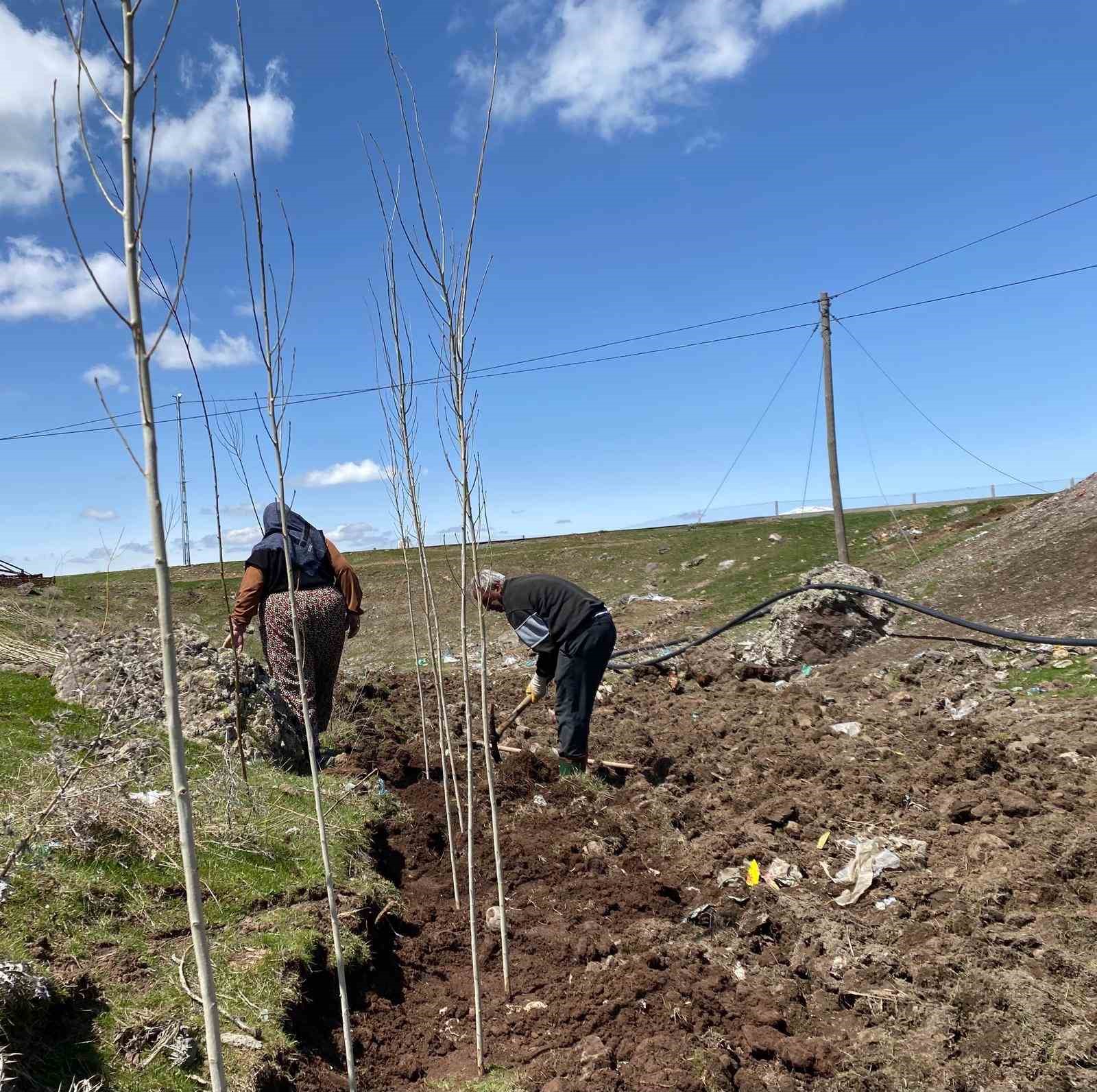 Ağrı’da vatandaşlar imece usulü fidan dikerek geleceğe nefes oluyor