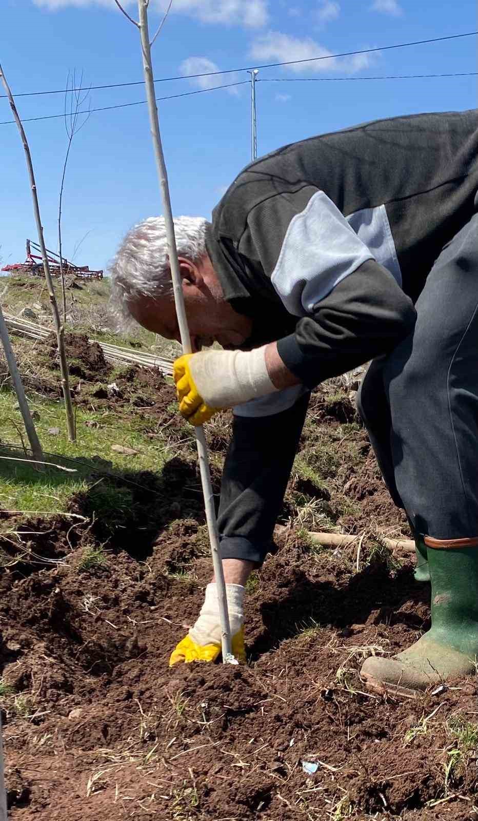 Ağrı’da vatandaşlar imece usulü fidan dikerek geleceğe nefes oluyor