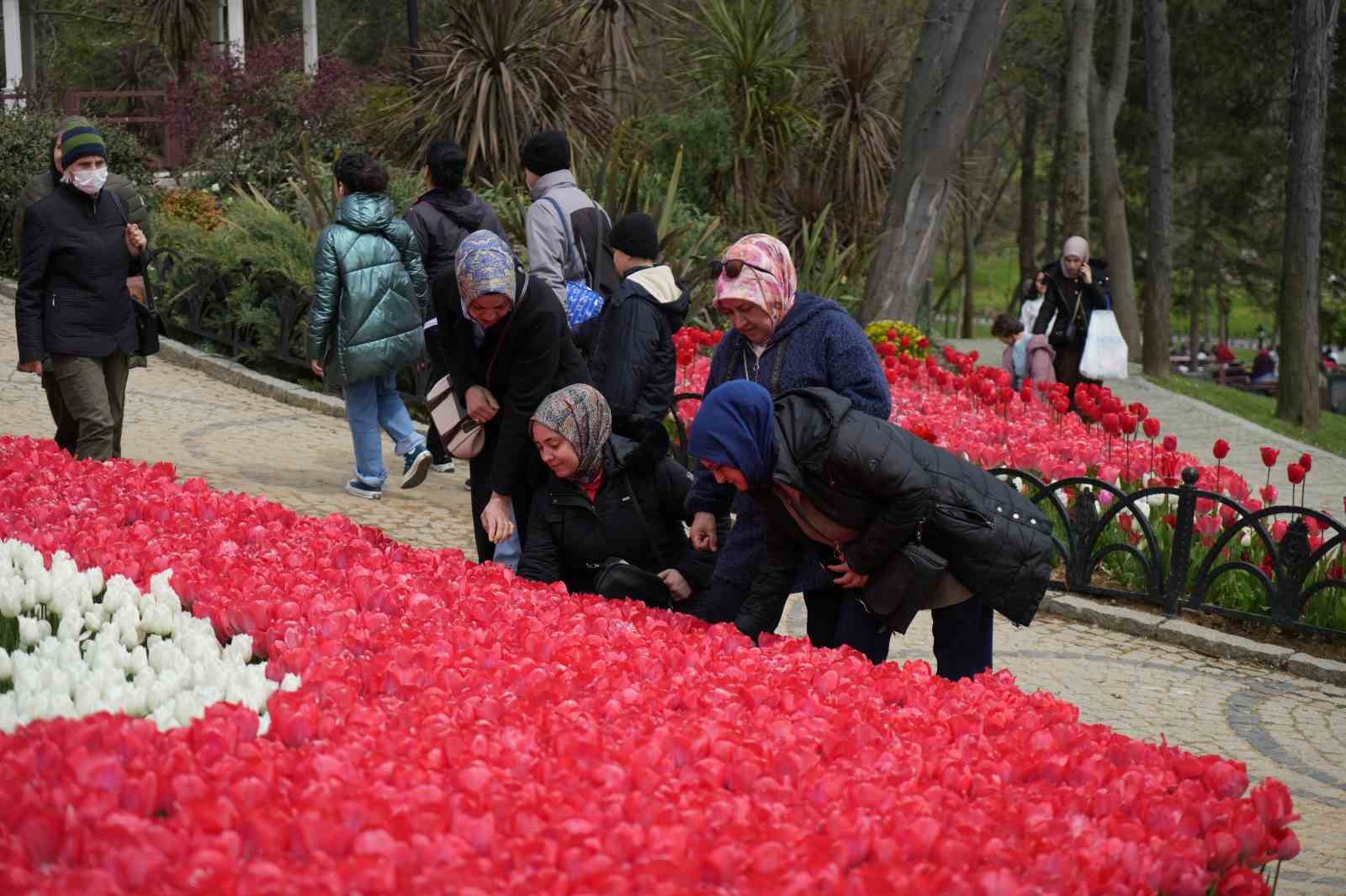 İstanbul&rsquo;un simgesi laleler şehri yeniden renklendirdi
