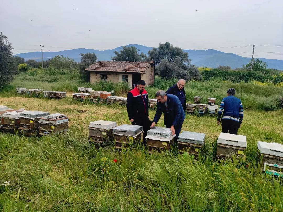 Aydın&rsquo;da ana arı &uuml;retim kovanları denetlendi
