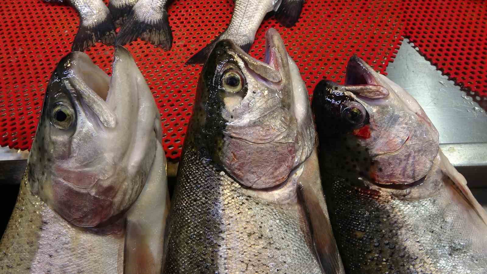 Denizlerde av yasağının başlamasının ardından tezgahlar kültür balıklarına kaldı
