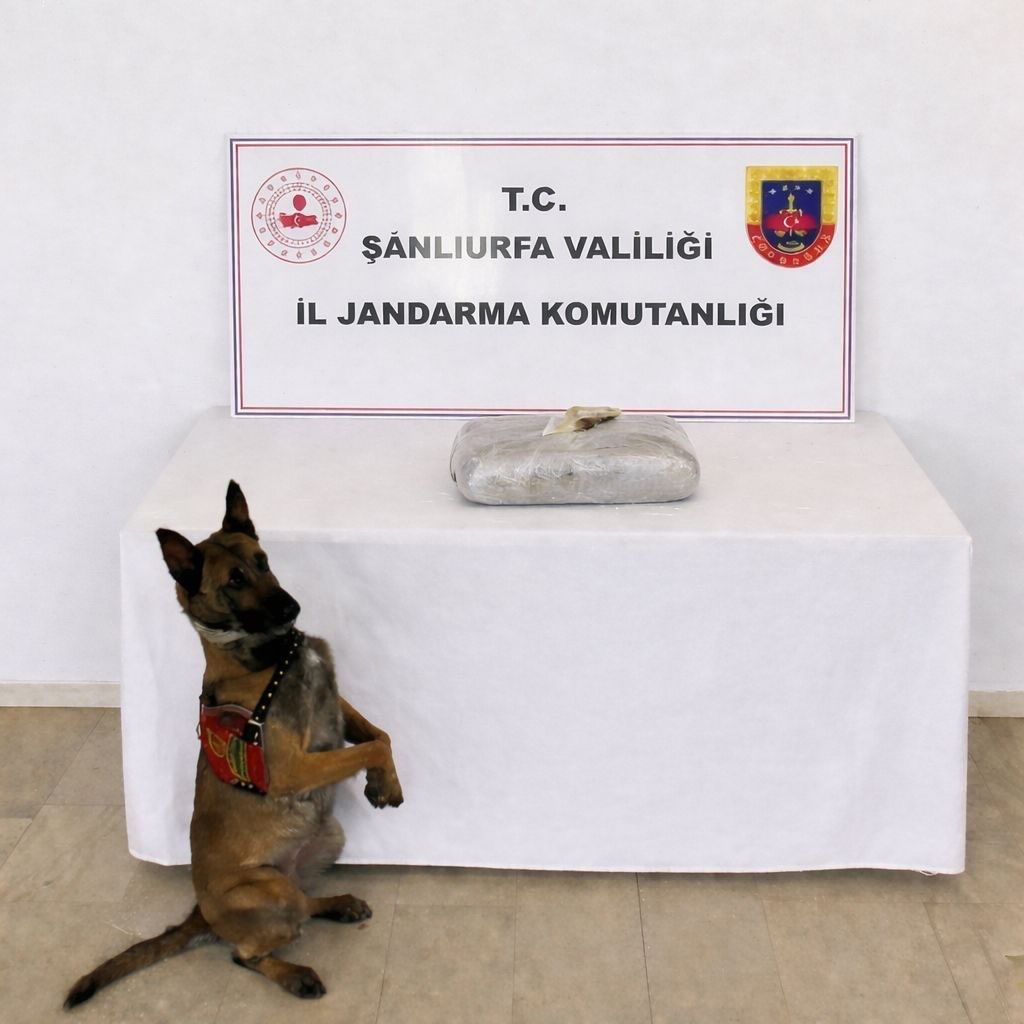 Şanlıurfa&rsquo;da uyuşturucu operasyonunda 1 g&ouml;zaltı
