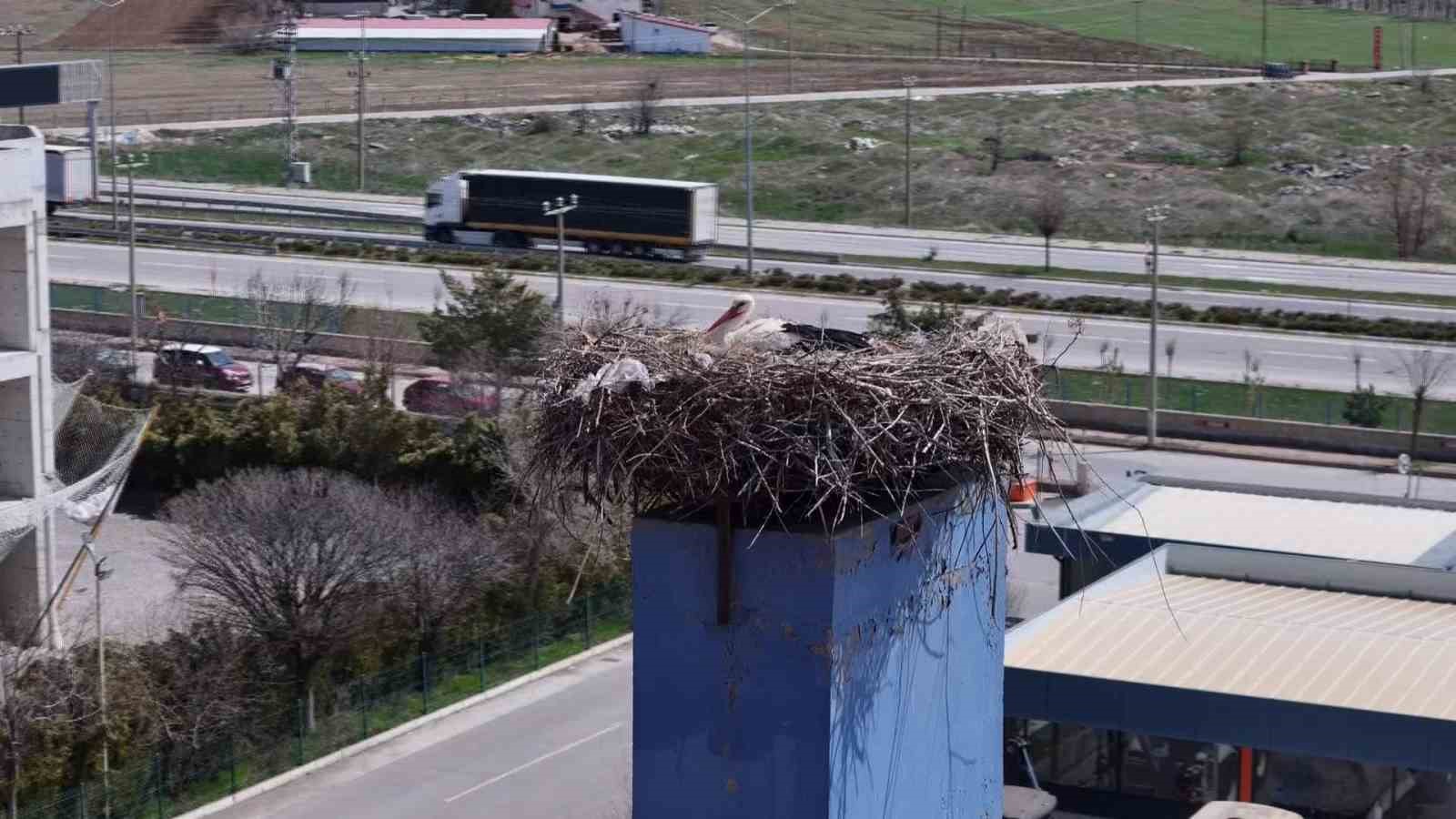 Leylekler yuvaya d&ouml;nd&uuml;, fabrikada &uuml;retime ara verildi
