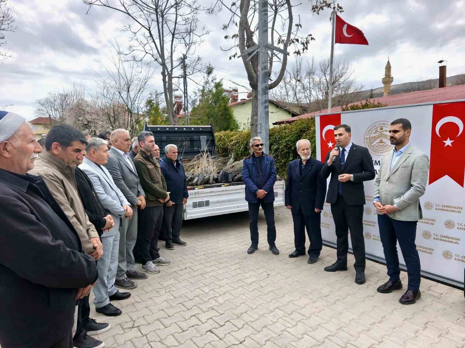 &Ccedil;emişgezek&rsquo;te vatandaşlara &uuml;cretsiz fidan dağıtıldı
