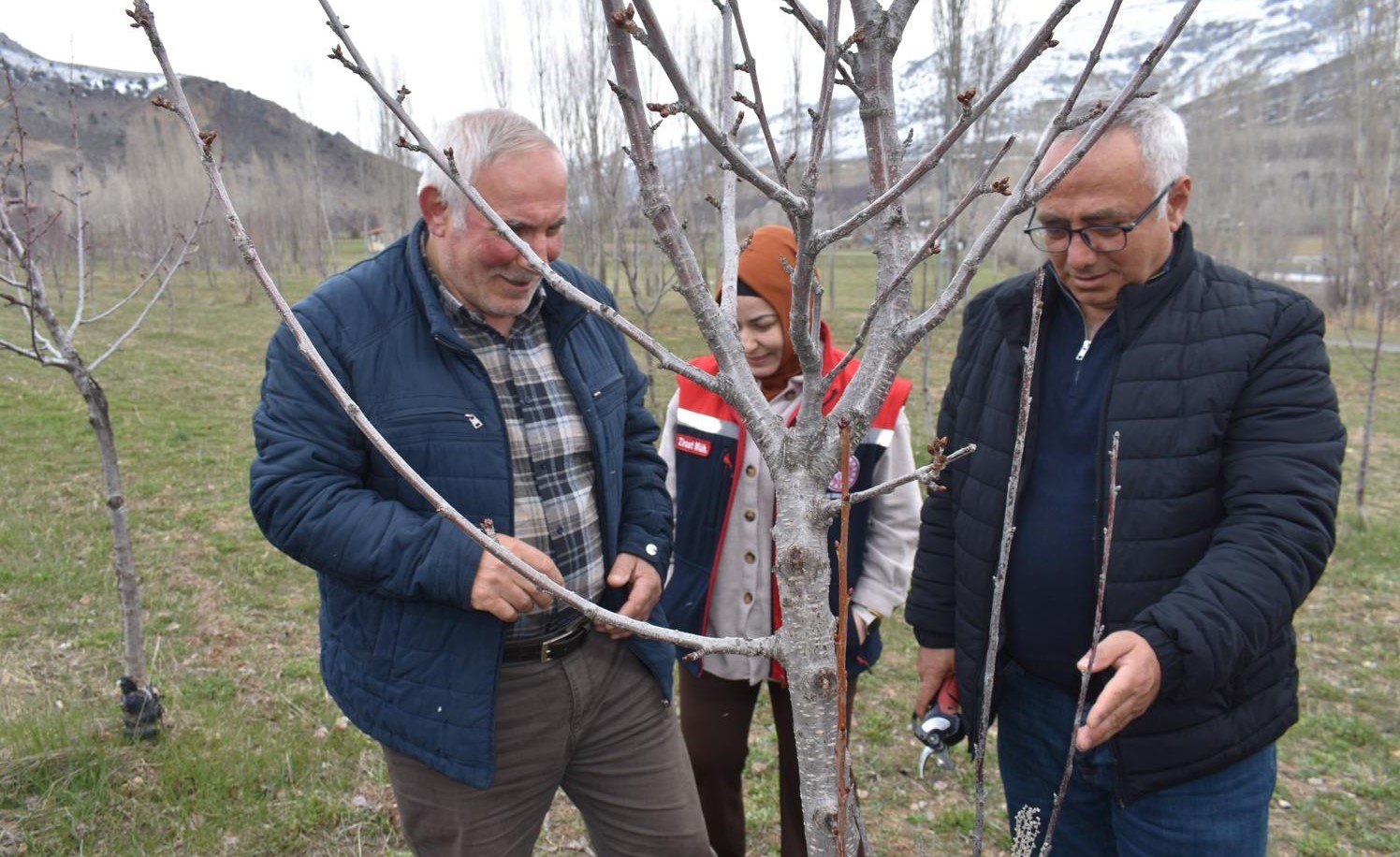 Bayburt’ta üreticilere aşılama ve budama eğitimi verildi