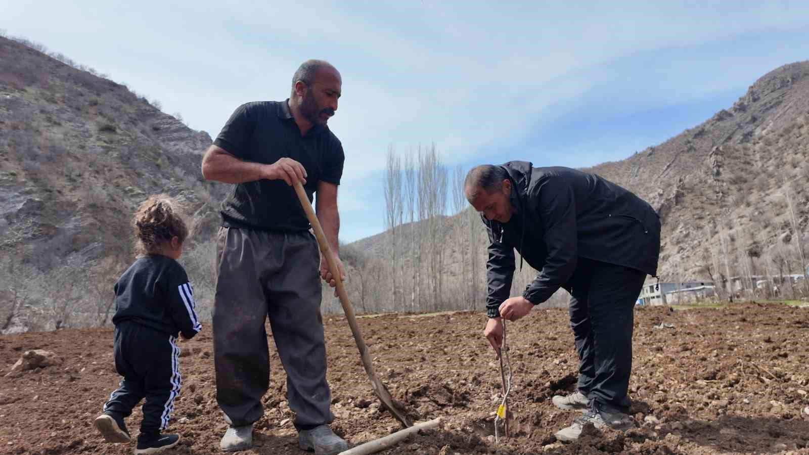 Şırnaklı &ccedil;ift&ccedil;i devlet desteğiyle b&uuml;t&uuml;n arazisine meyve fidanı dikti
