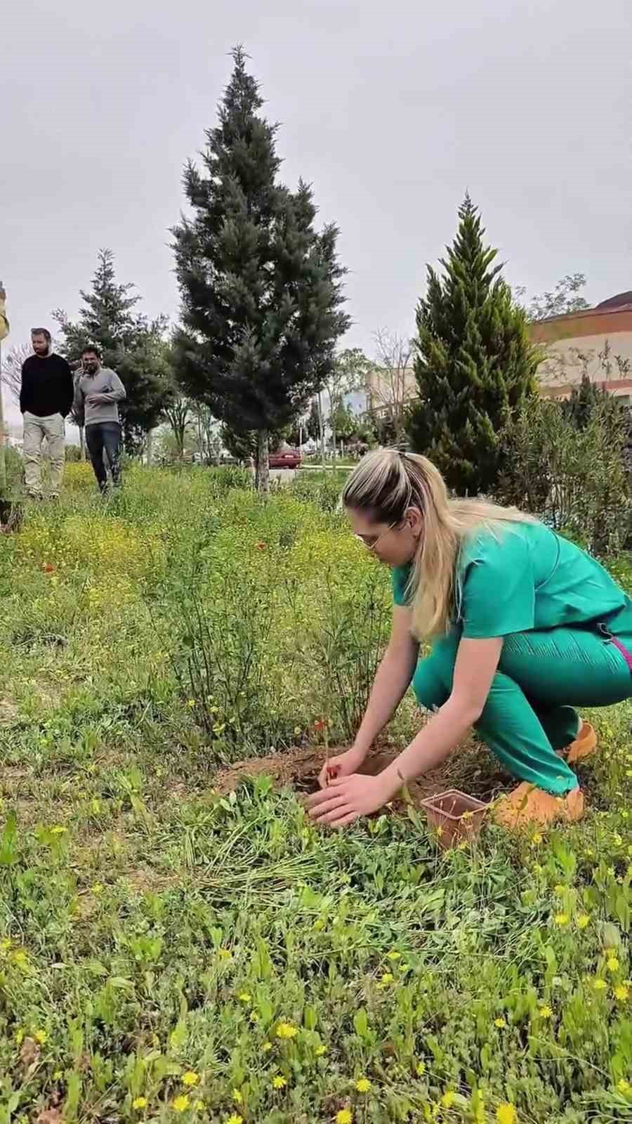 Mut Devlet Hastanesi bah&ccedil;esine 150 fidan dikildi
