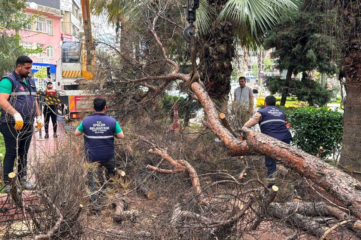 Efeler Belediyesi parkları güvenli hale getiriyor
