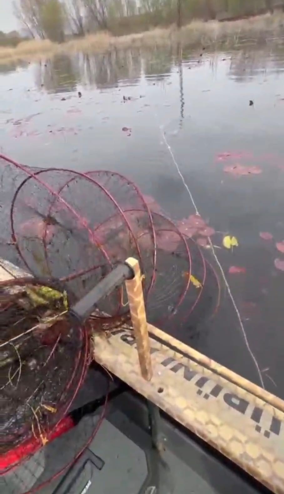 &lsquo;Nil&uuml;fer Cenneti&rsquo;nde ka&ccedil;ak avcılığa &lsquo;dur&rsquo; denildi
