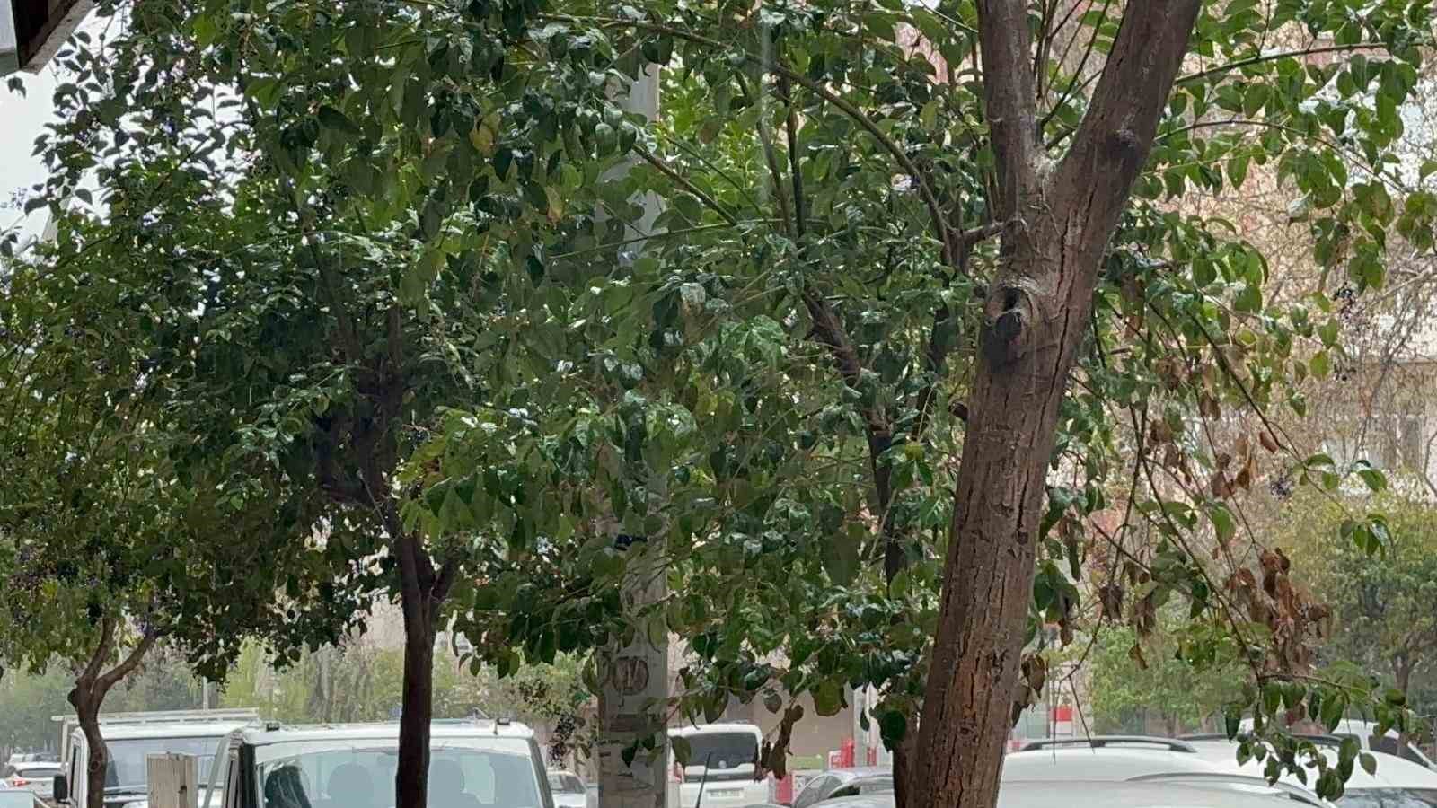 Elazığ&rsquo;da sağanak yağış etkili oluyor
