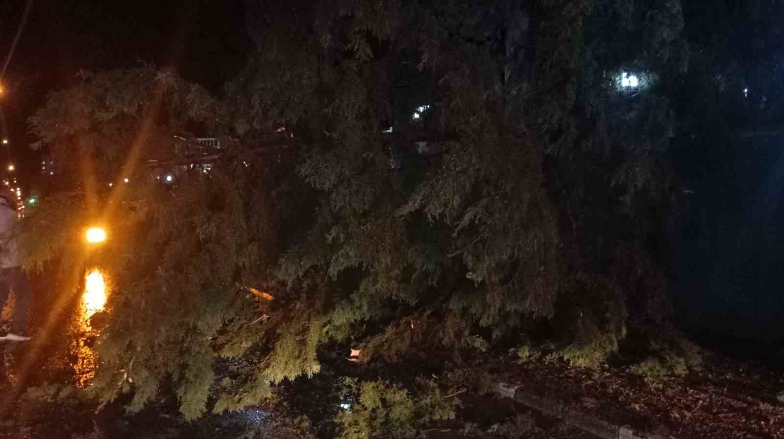 Osmaniye&rsquo;de fırtına etkili oldu, devrilen ağa&ccedil;lar yolları kapattı
