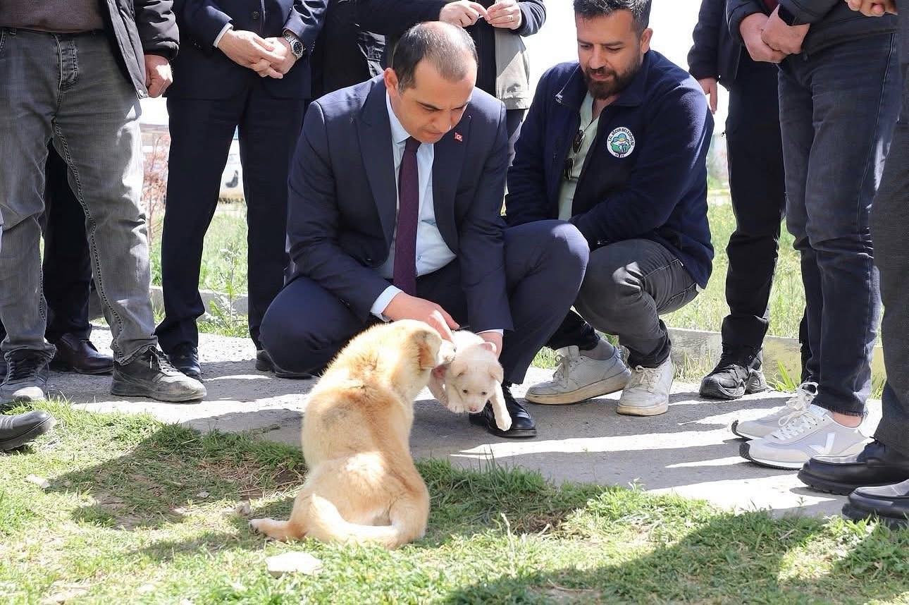 Vali Taşolar, Iğdır Geçici Hayvan Bakımevi’ni ziyaret etti