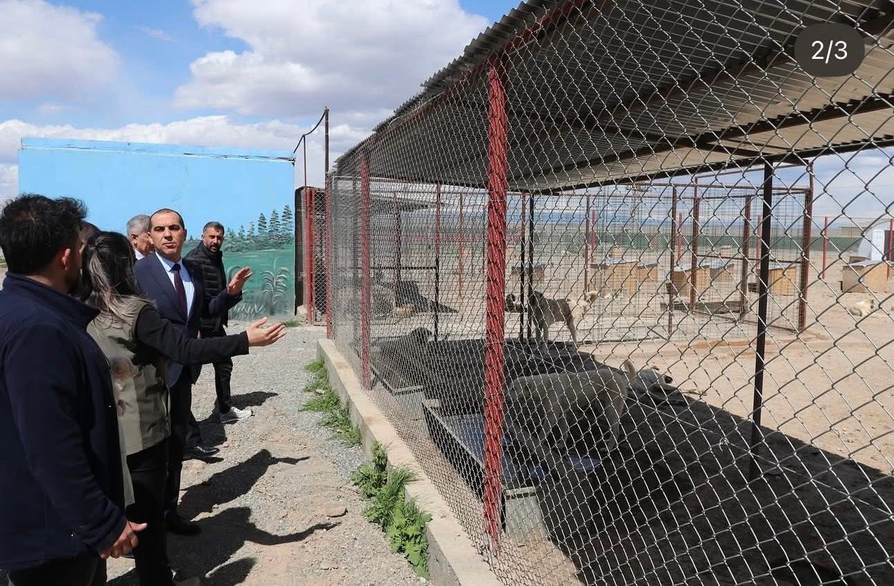 Vali Taşolar, Iğdır Ge&ccedil;ici Hayvan Bakımevi&rsquo;ni ziyaret etti
