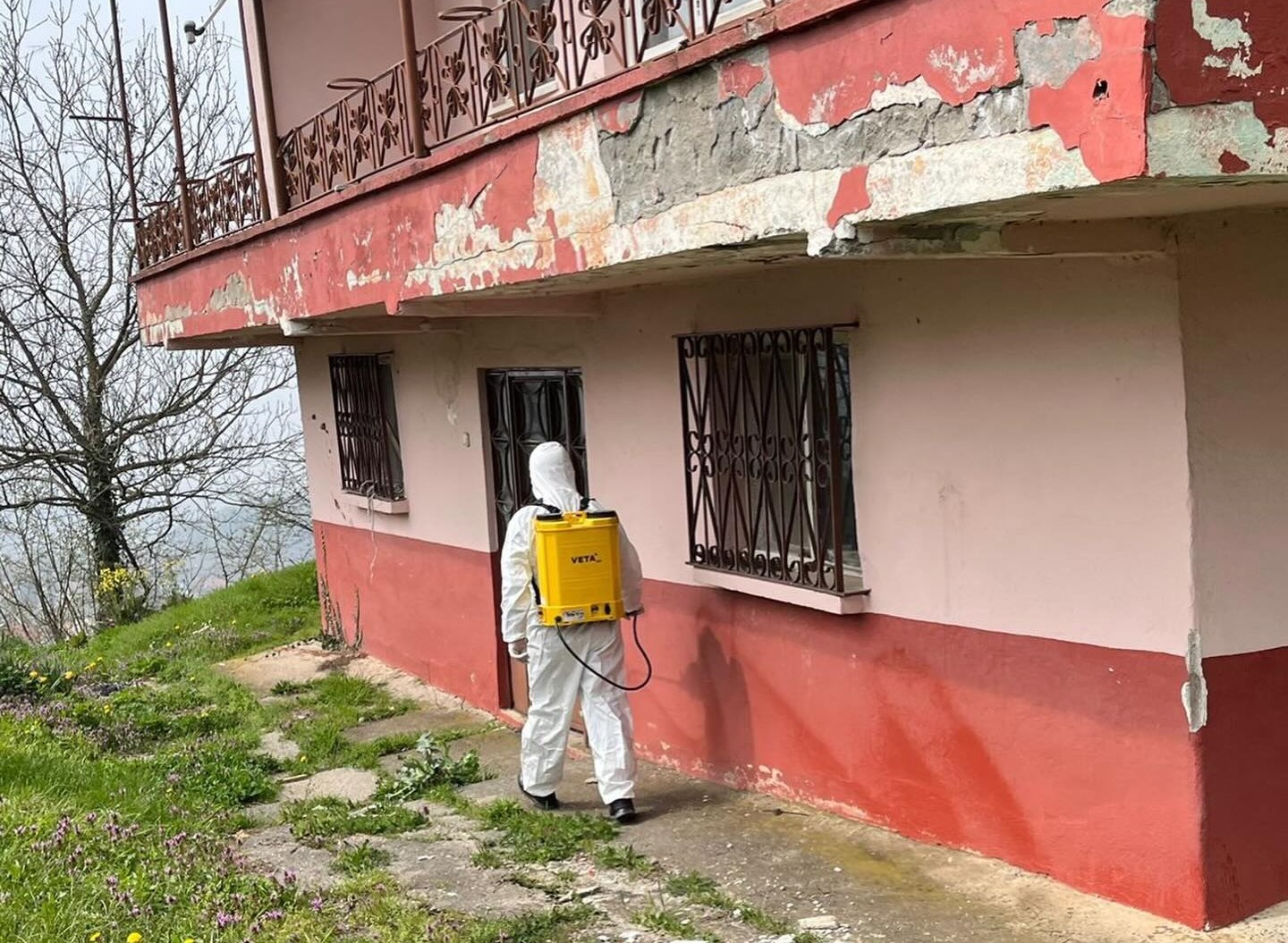 Kaynaşlı ve Yığılca’da Kahverengi Kokarcayla mücadele sürüyor