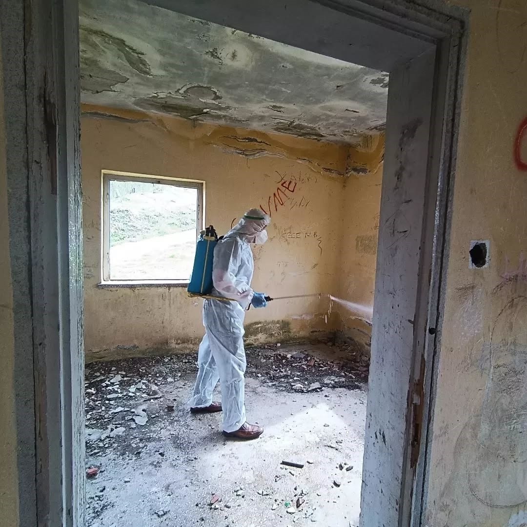 Kaynaşlı ve Yığılca&rsquo;da Kahverengi Kokarcayla m&uuml;cadele s&uuml;r&uuml;yor
