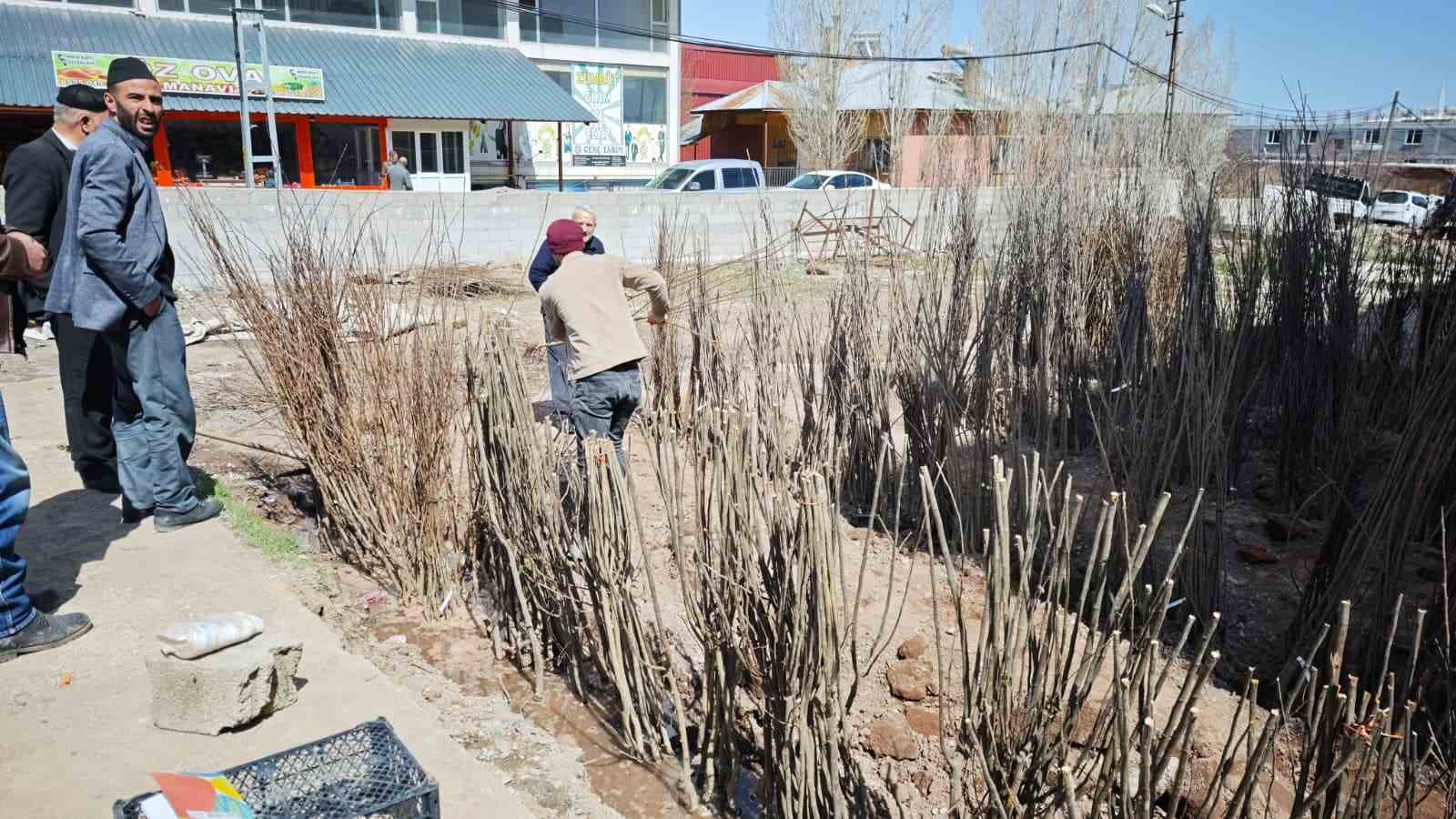 Ahlat&rsquo;ta meyve fidanlarına ilgi
