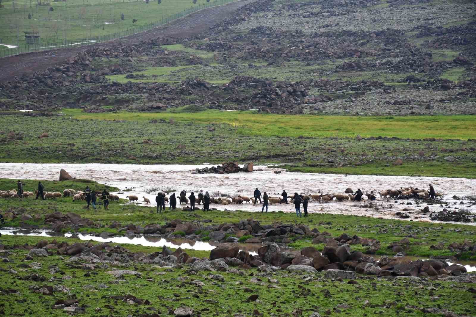Siverek&rsquo;te sağanak sonrası derede mahsur kalan &ccedil;oban ve koyun s&uuml;r&uuml;s&uuml; kurtarıldı
