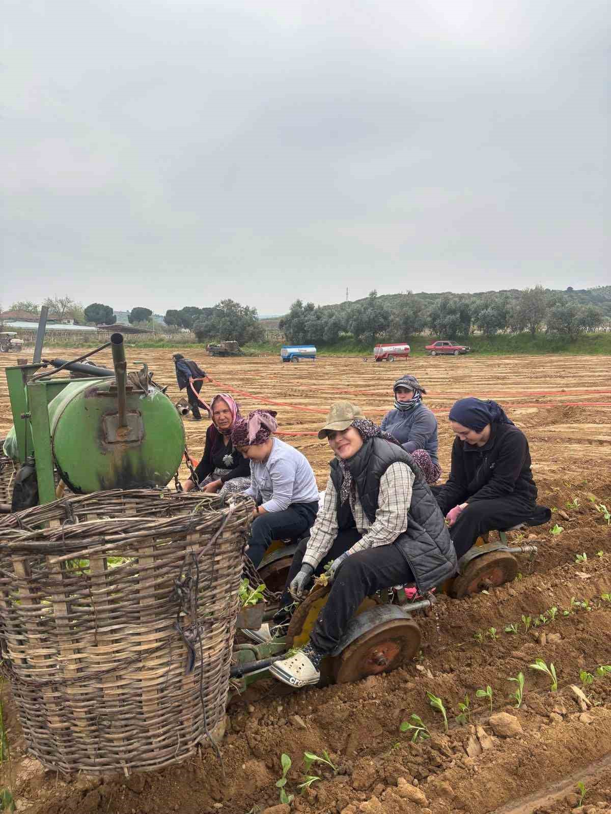 Karacasu&rsquo;da &ccedil;ift&ccedil;ilerin t&uuml;t&uuml;n mesaisi başladı
