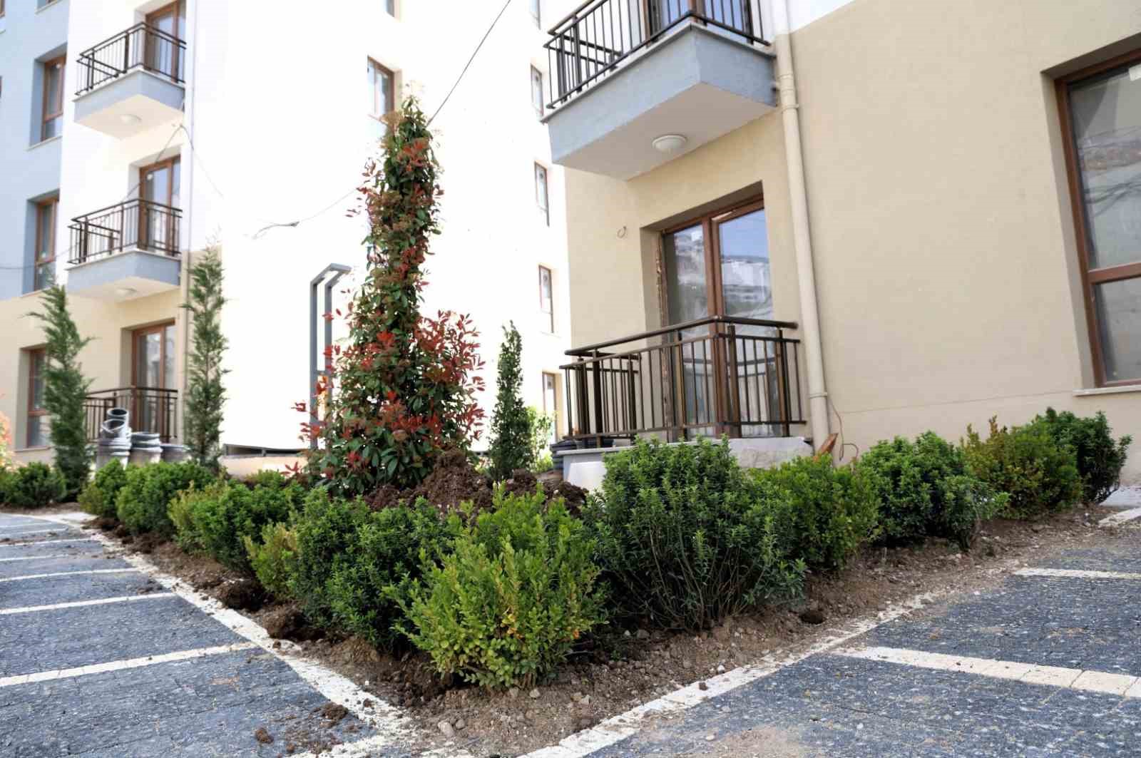 Cedit Kentsel D&ouml;n&uuml;ş&uuml;m Projesi&rsquo;nde &ccedil;evre d&uuml;zenlemesi devam ediyor
