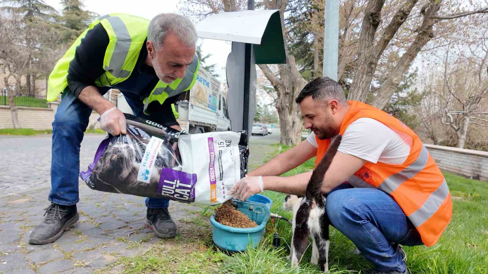Elazığ&rsquo;da sokak hayvanlarına mama desteği s&uuml;r&uuml;yor
