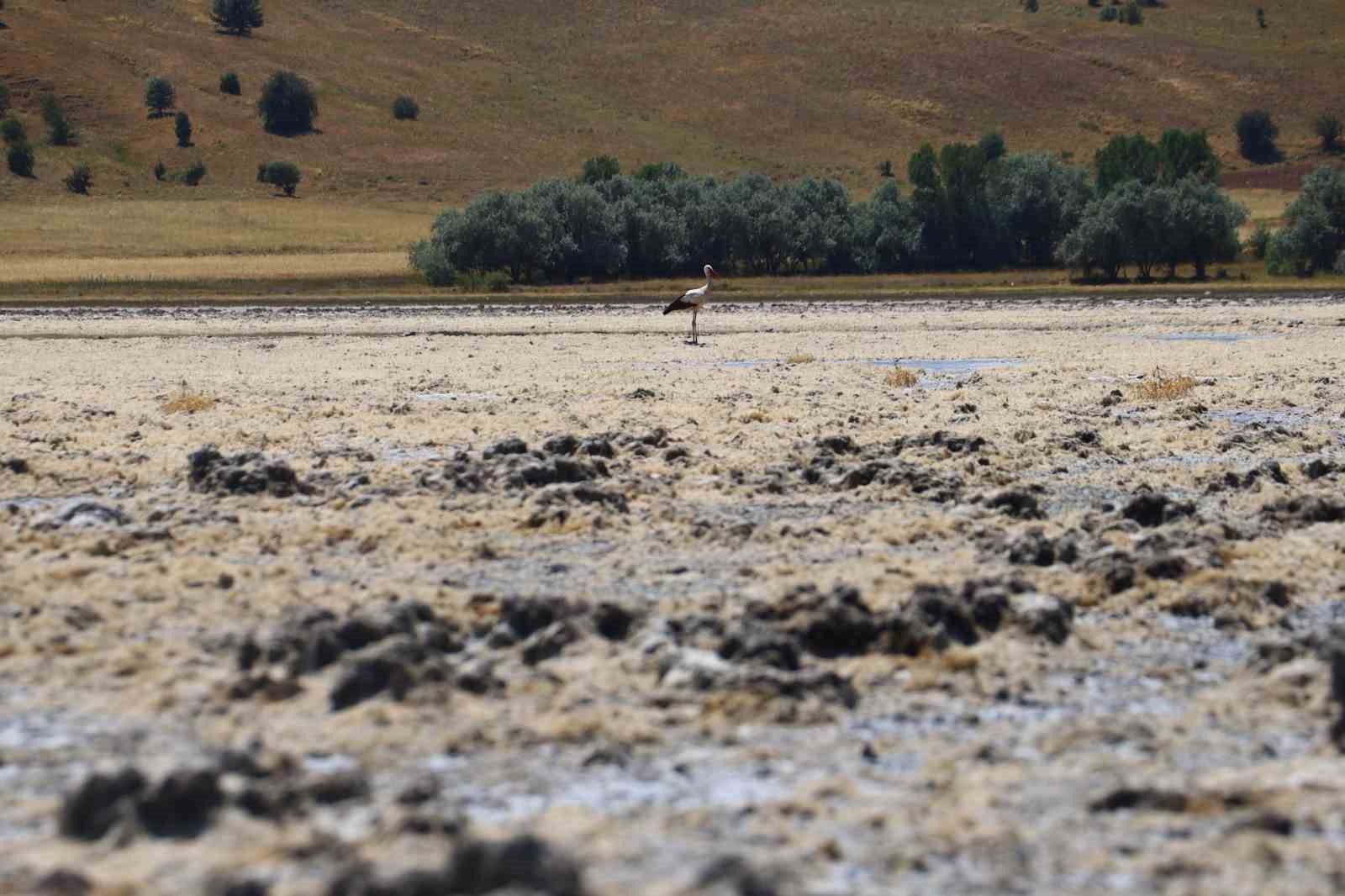 G&ouml;&ccedil;men kuşların uğrak mekanı, son yağışlarla doldu taştı

