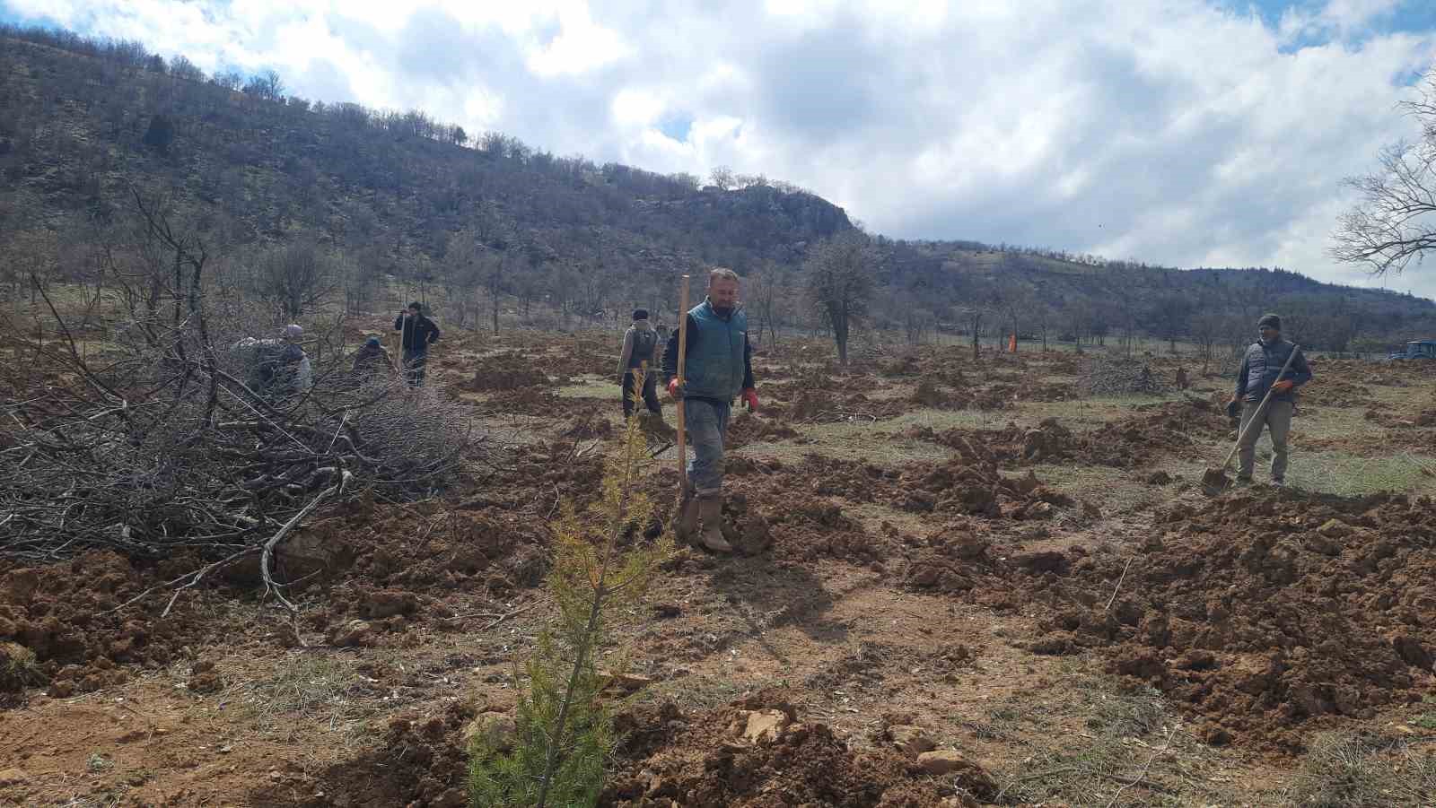 Bozkır&rsquo;da 13 d&ouml;n&uuml;ml&uuml;k alanda dev ağa&ccedil;landırma projesi
