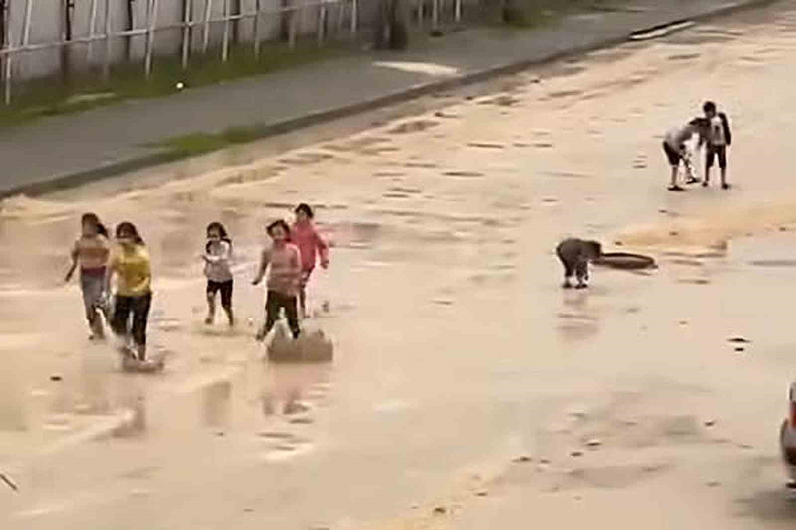 Araban eski g&uuml;nlerini arıyor
