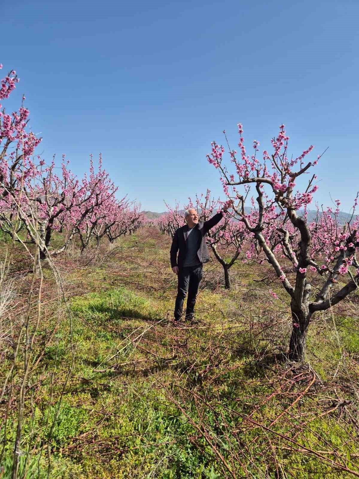 Elazığ’da meyve bahçelerinde entegre mücadele çalışması