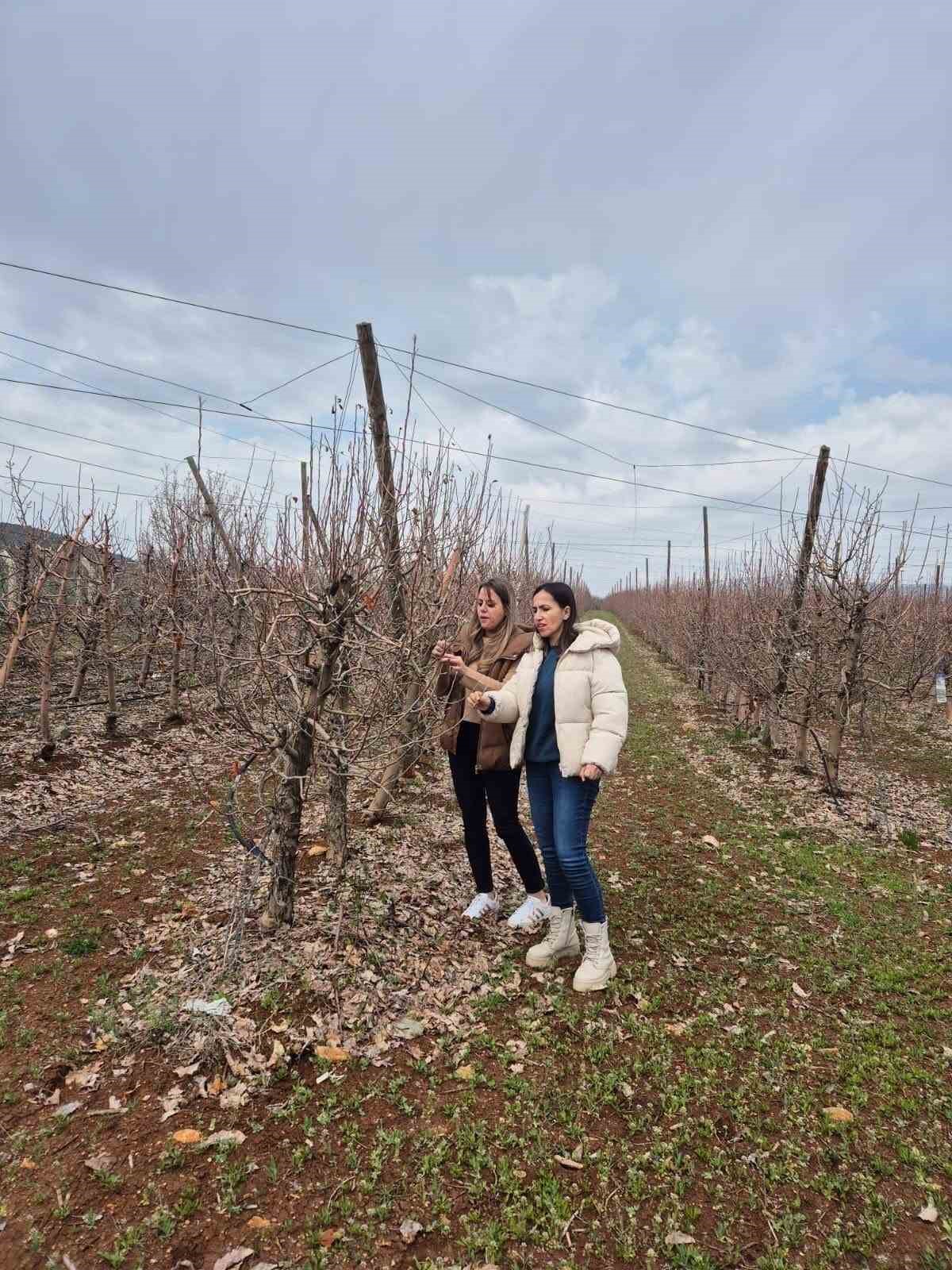Elazığ&rsquo;da meyve bah&ccedil;elerinde entegre m&uuml;cadele &ccedil;alışması
