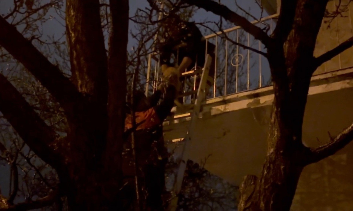 Erzincan&rsquo;da mahsur kalan kedi itfaiye ekiplerince kurtarıldı
