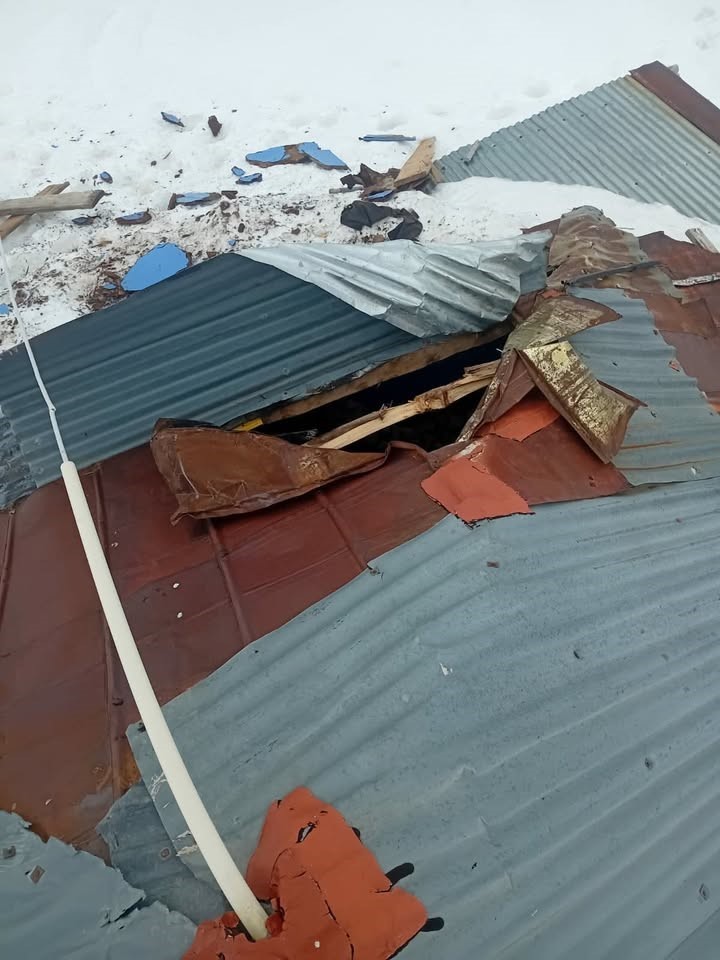 G&uuml;m&uuml;şhane yaylalarında ayı dehşeti devam ediyor
