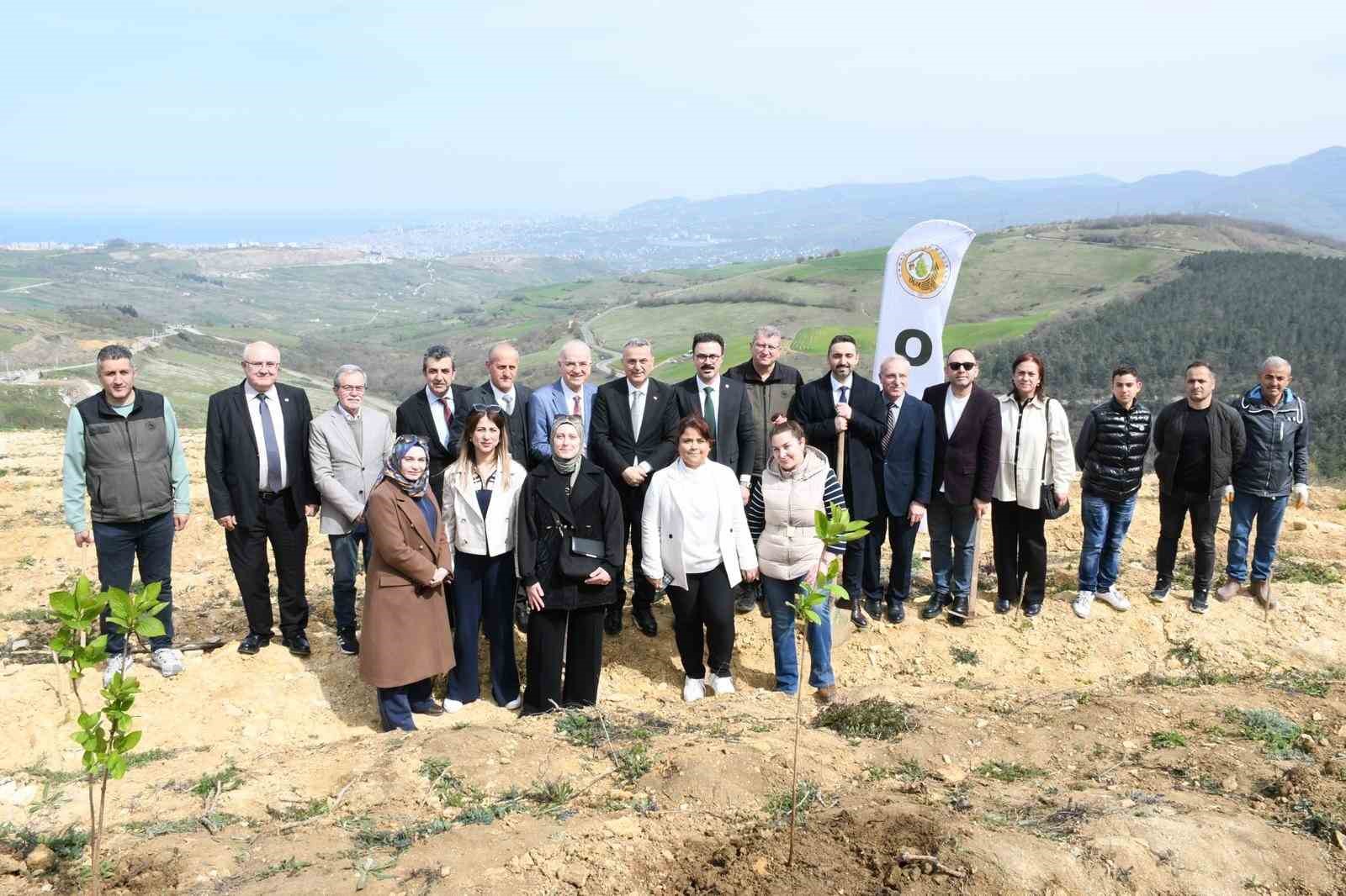 Samsun&rsquo;da ormanlar ağa&ccedil;landırılıyor
