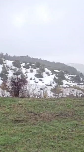 Mantar toplamak i&ccedil;in araziye &ccedil;ıktı, nisan karı ile karşılaştı
