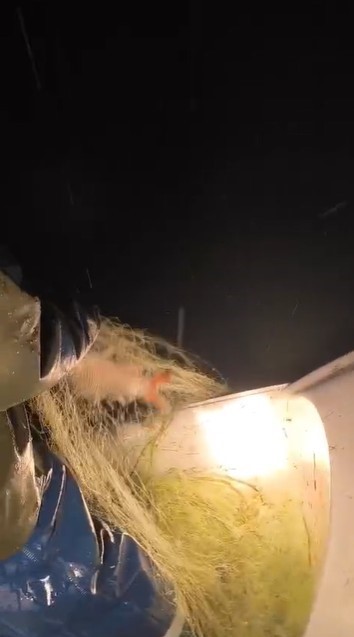 Kovada G&ouml;l&uuml;&rsquo;nde yasa dışı avcılığa ge&ccedil;it yok: Ka&ccedil;ak avcılıkta kullanılan 7 &ccedil;uval ağa el konulurken, balıklar tekrar g&ouml;le salındı
