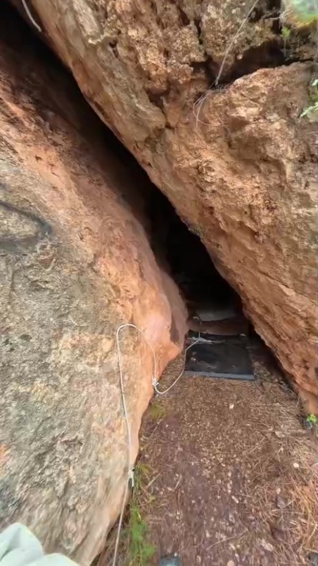 Kaya i&ccedil;erisindeki yarığa d&uuml;şen 6 yavru k&ouml;pek i&ccedil;in film gibi kurtarma operasyonu
