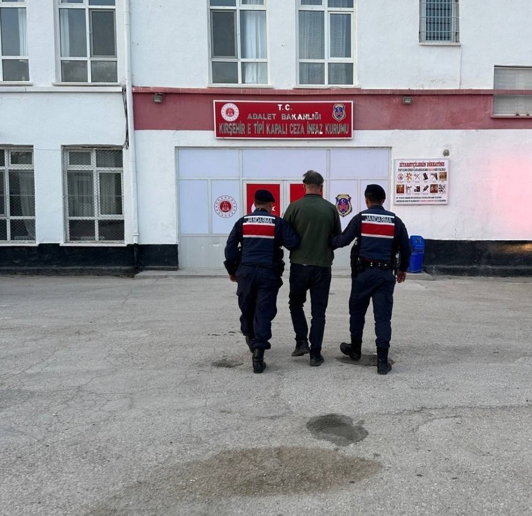 Köpeği av tüfeği ile vurarak öldüren şahıs tutuklandı