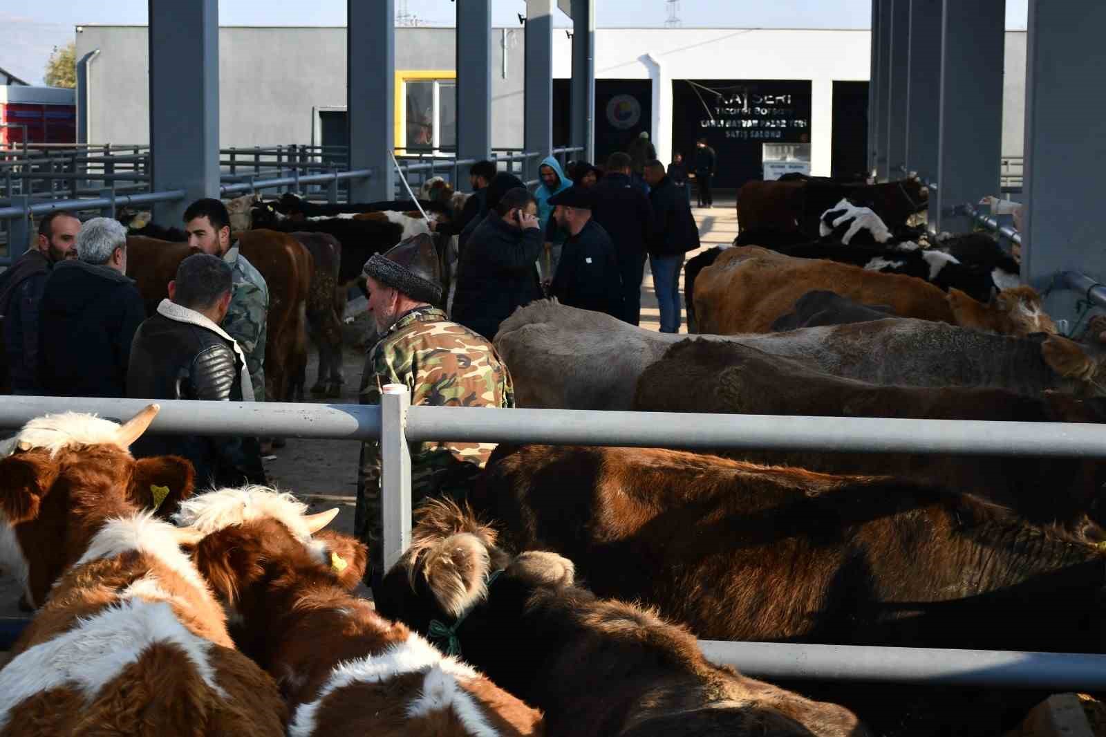 Kayseri&rsquo;de Kurbanlık Tavsiye Fiyatları a&ccedil;ıklandı

