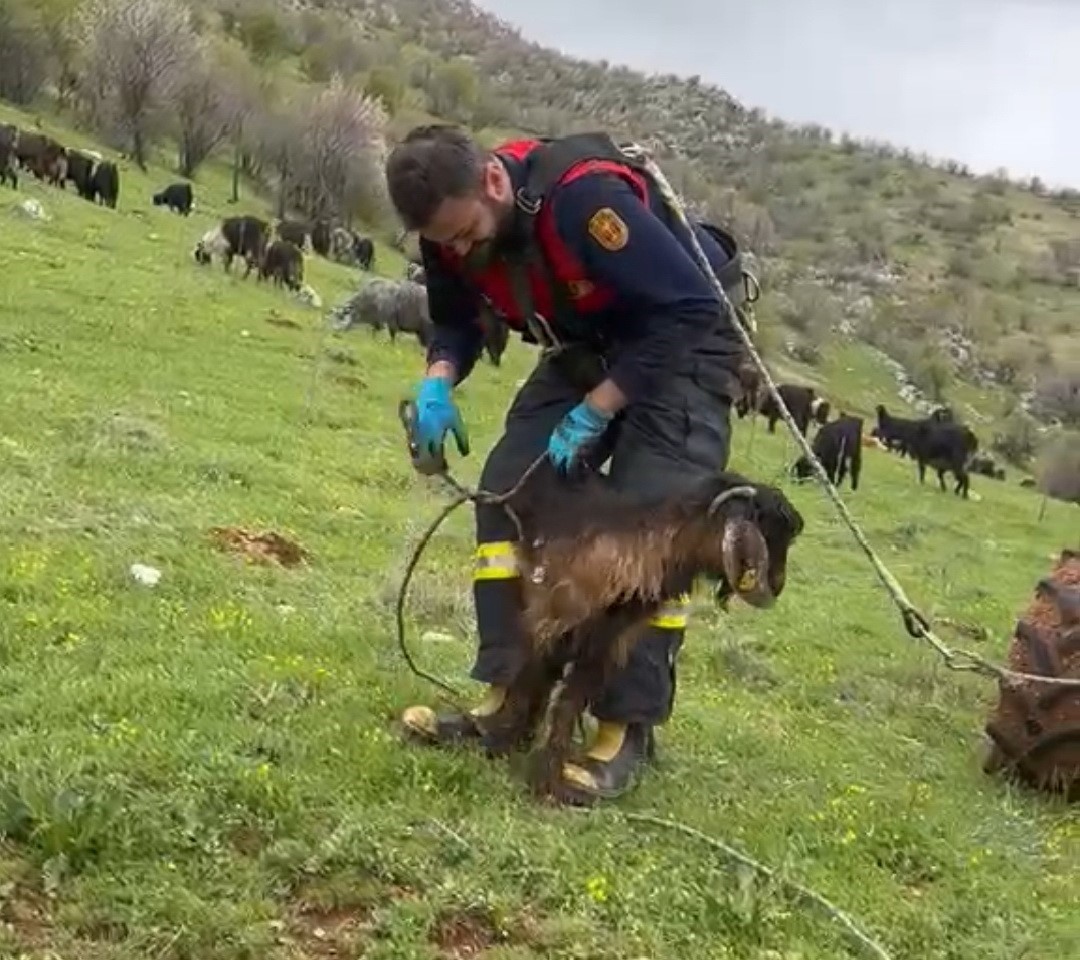 Kuyuya düşen keçiyi itfaiye kurtardı