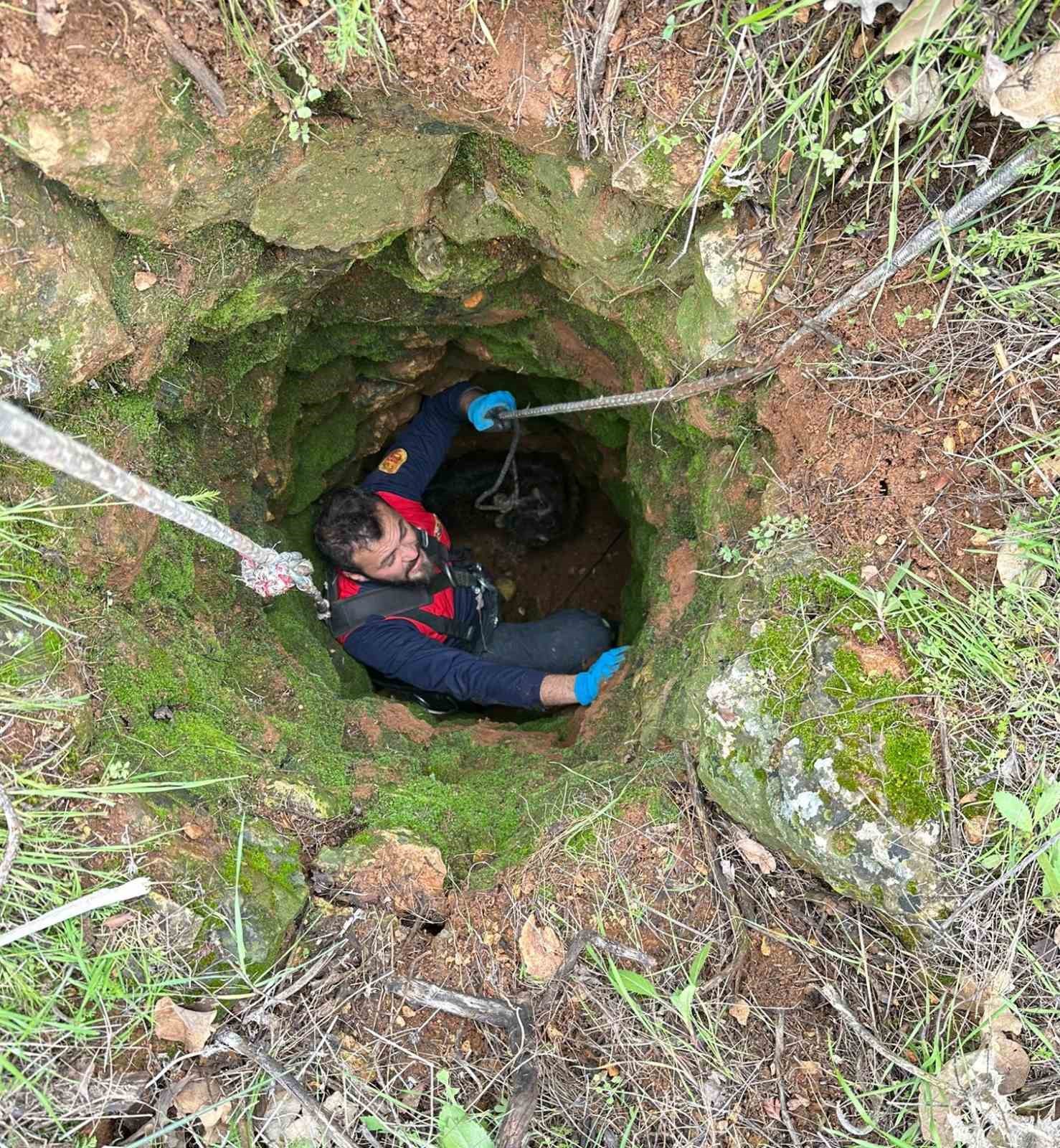 Kuyuya d&uuml;şen ke&ccedil;iyi itfaiye kurtardı
