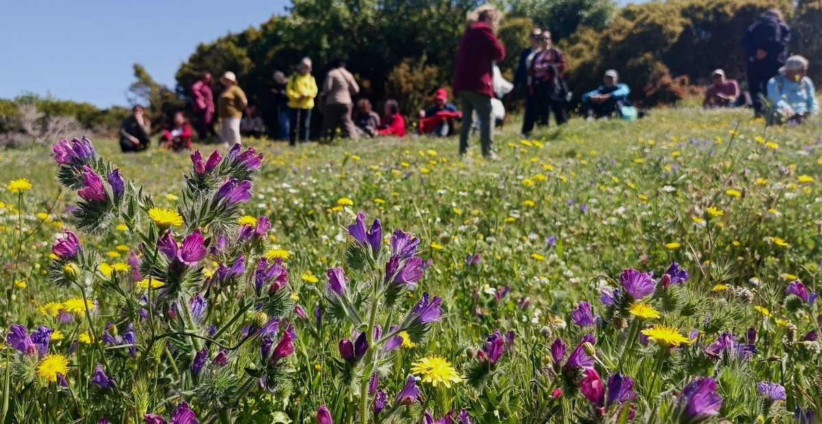 Aydınlı doğaseverler Urla&rsquo;yı gezdi
