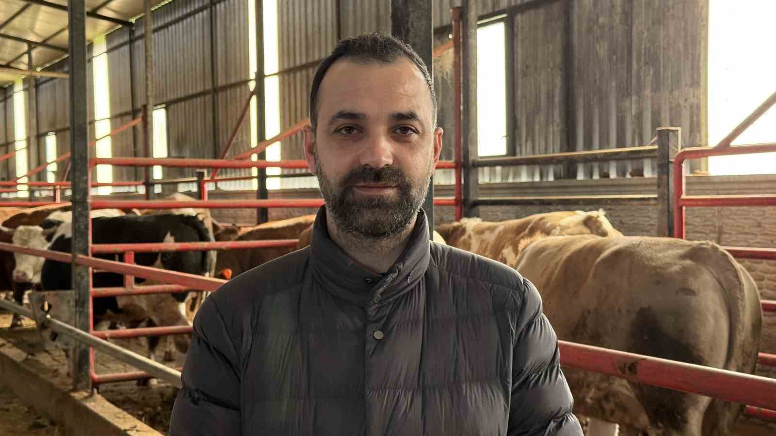 1,5 tonluk dev tosun, 950 bin liraya vitrine &ccedil;ıktı
